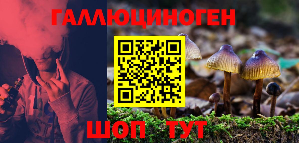 Псилоцибиновые грибы Cubensis  Галлюциногенные грибы Psilocybine cubensis  Вход с VPN  даркнет сайт  Коряжма 