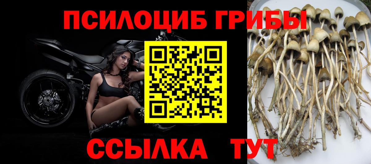 Галлюциногенные грибы Magic Shrooms Коряжма